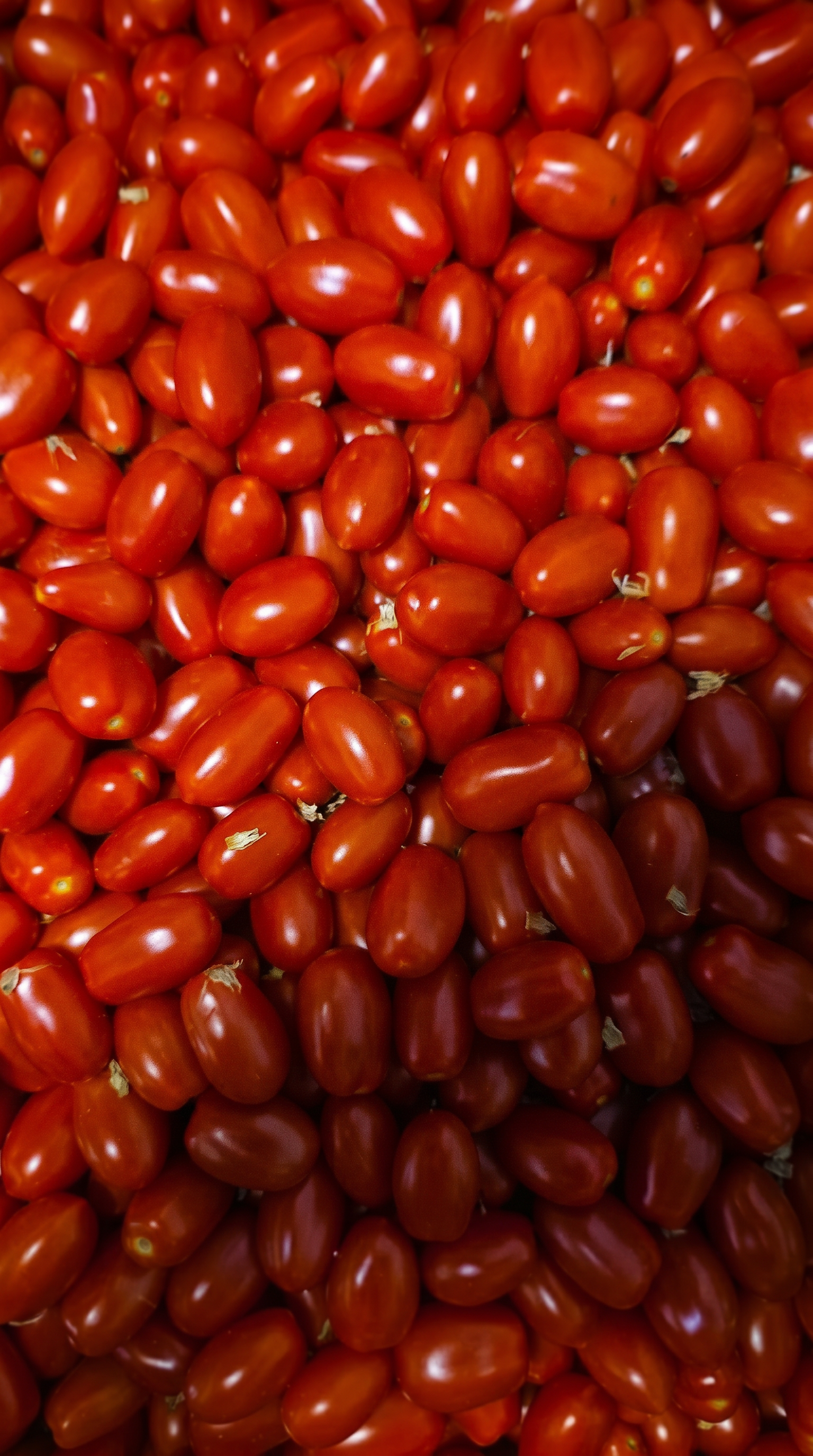 Grape tomatoes