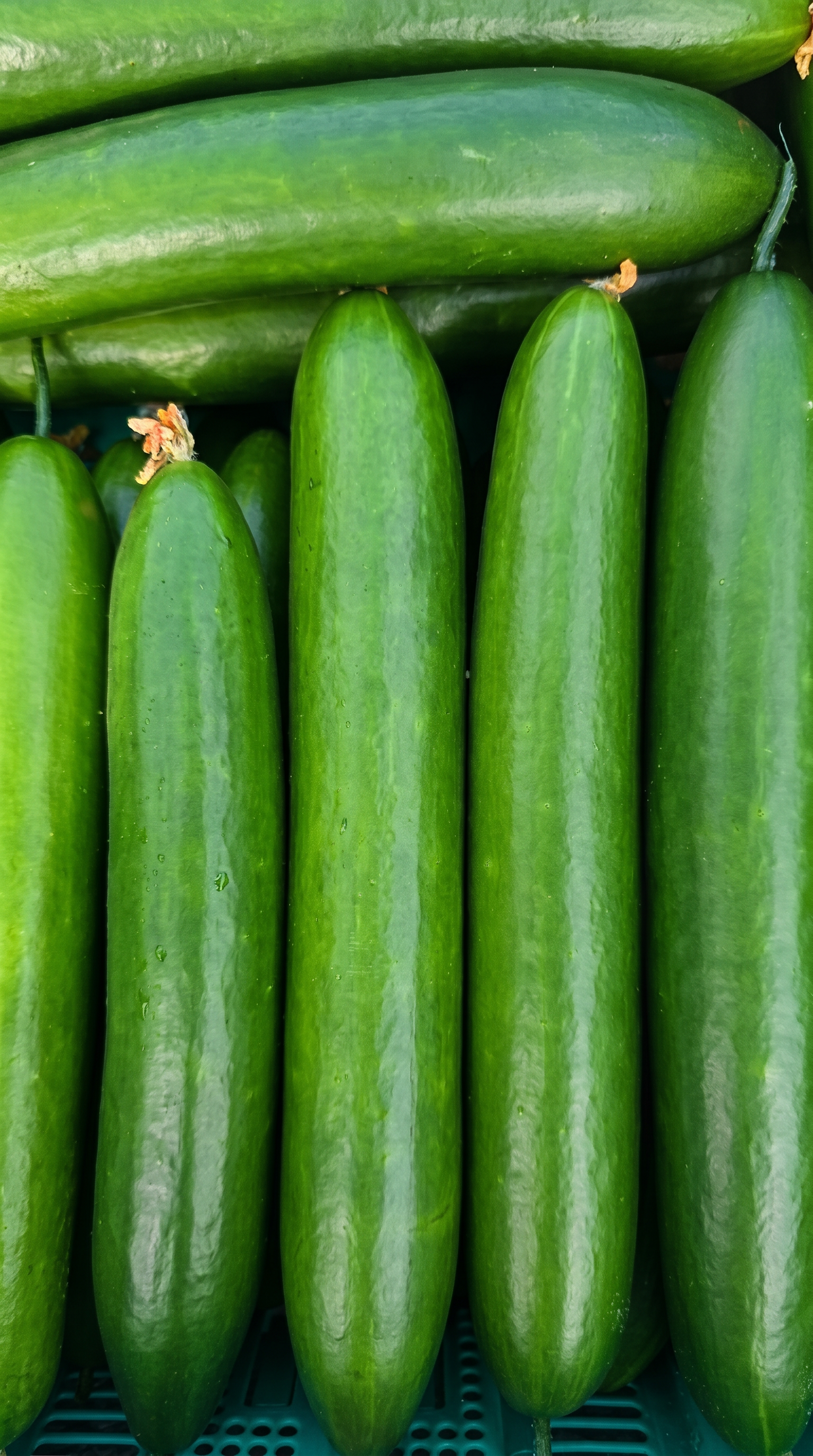 Cucumbers